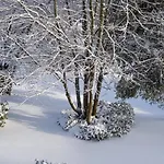 بيت للعطل Sauerland *