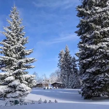 Sauerland Tatil Evi *