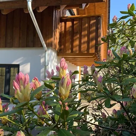Holiday home Sauerland