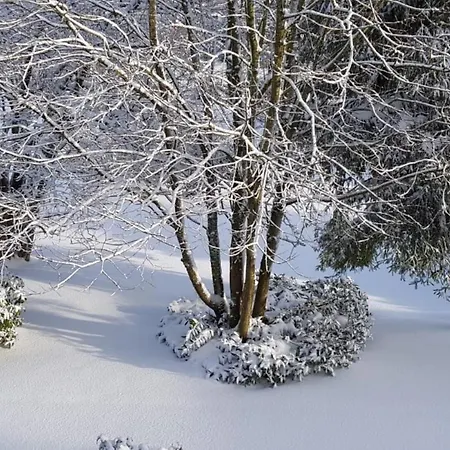 بيت للعطل Sauerland *