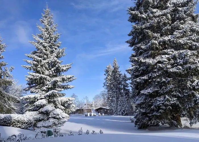 Sauerland Prázdninový dům *