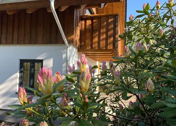 Vakantiehuis Sauerland