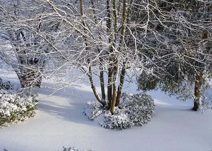 Vakantiehuis Sauerland *